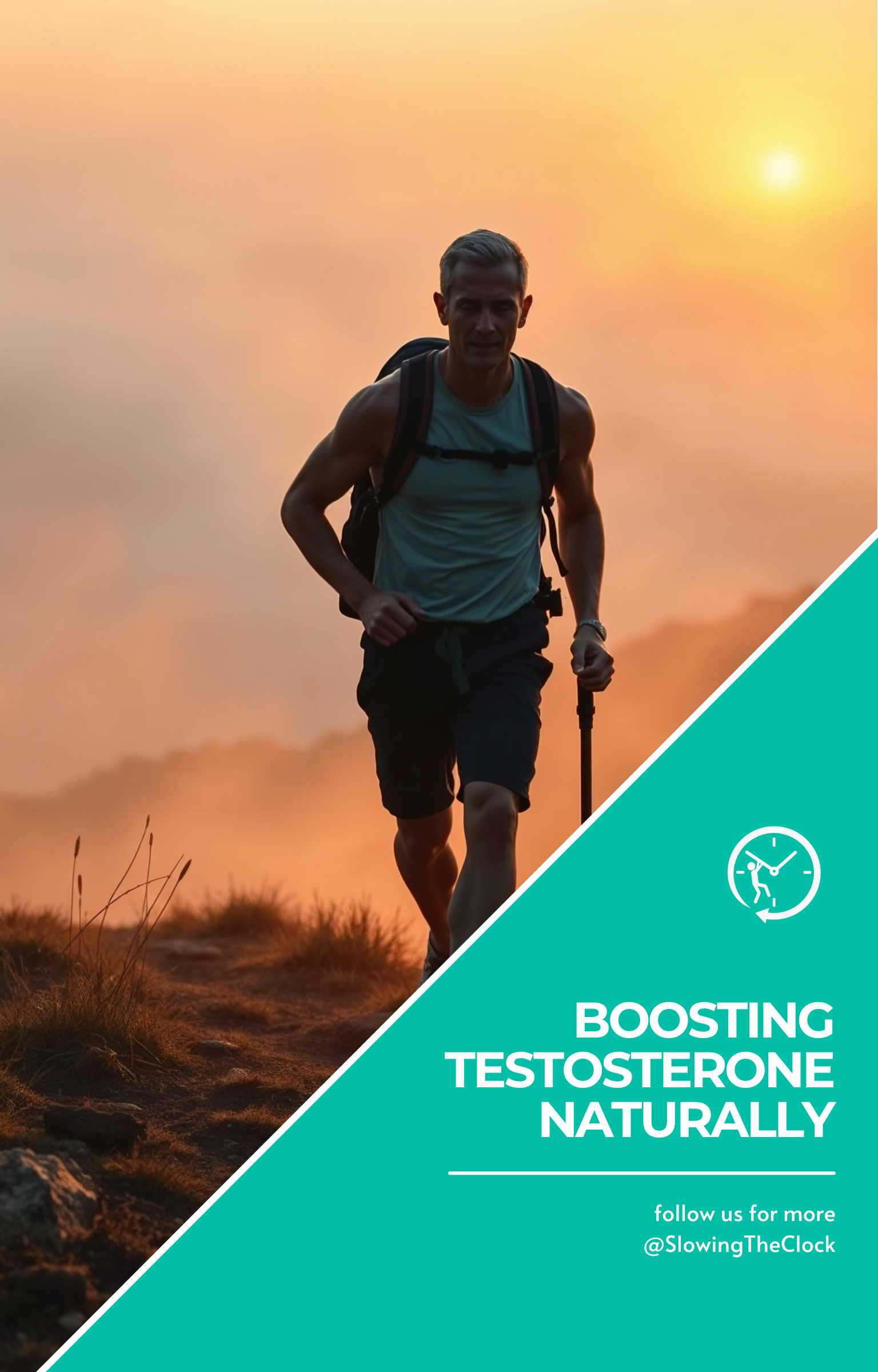 Boosting Testosterone Naturally
