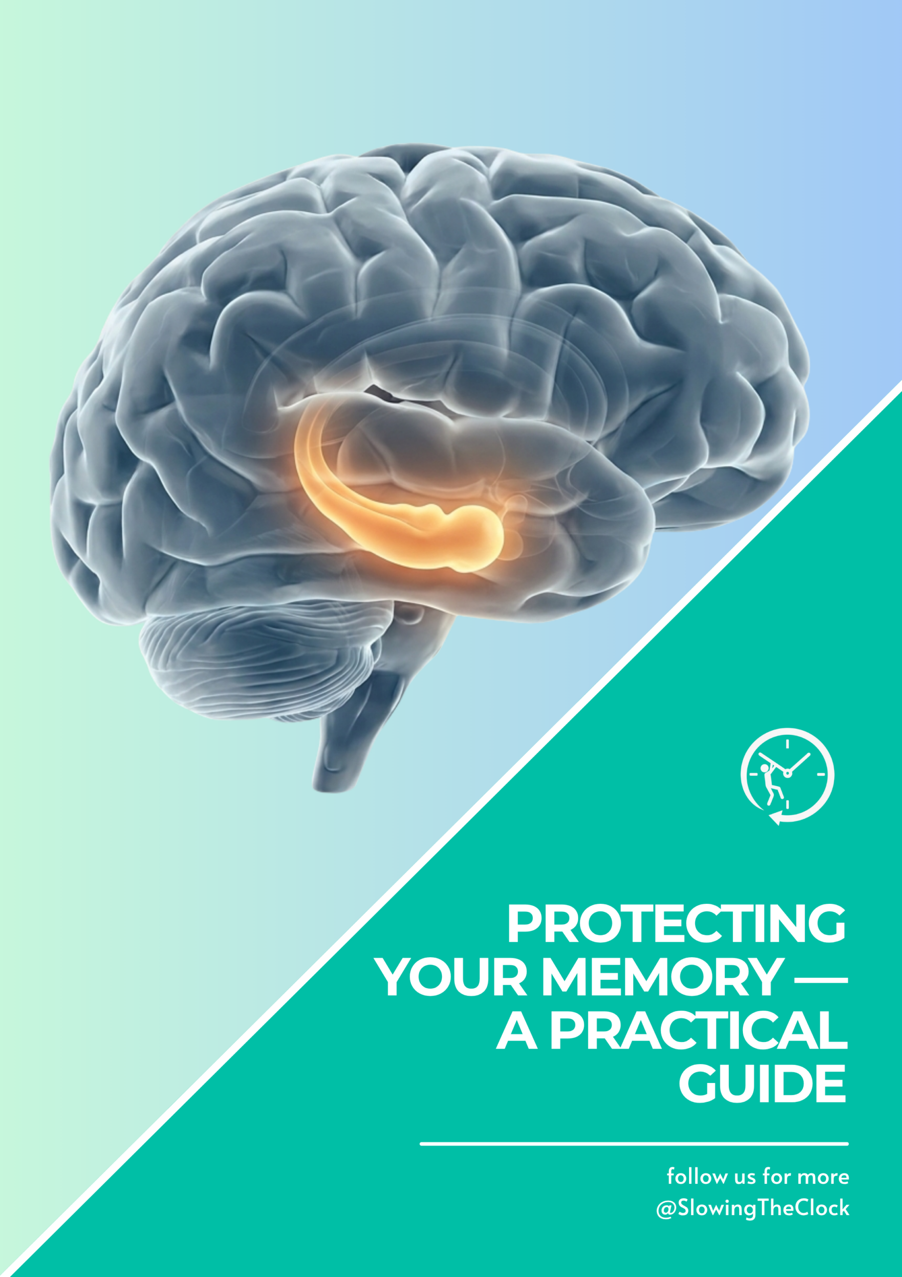 Protecting Your Memory — A Practical Guide